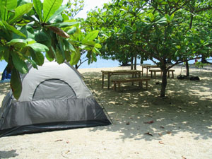 Medium Tent for 8